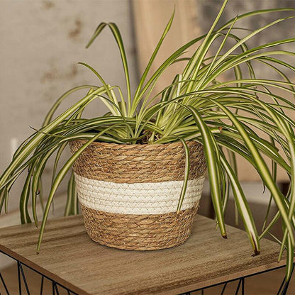 3 x Woven Storage Basket Set Rope Planters Rustic Plant Pots Holders - Home Inspired Gifts