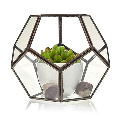 Geometric Glass Terrarium for Succulents and Plants - Stylish Planter Pot - Home Inspired Gifts