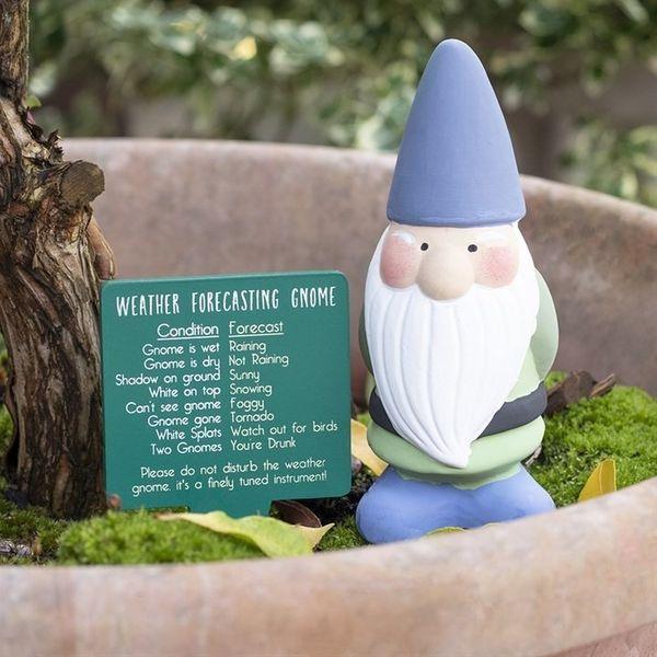 Large Funny Weather Forecasting Blue Garden Gnome - Home Inspired Gifts