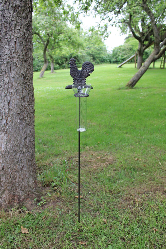 Cast Iron and Glass Garden Rain Gauge, Chicken Weather Stake - Home Inspired Gifts