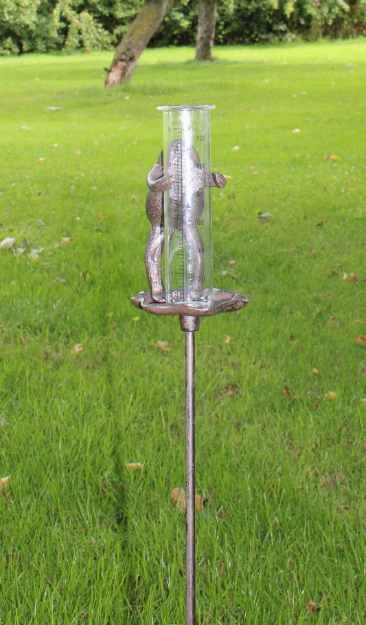 Cast Iron and Glass Garden Rain Gauge, Frog On Lily Pad Weather Stake - Home Inspired Gifts