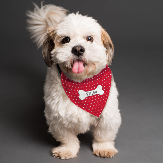 Personalised Name Red Polka Dot Dog Bandana Pet Gifts - Home Inspired Gifts